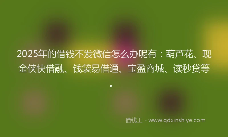 2025年的借钱不发微信怎么办呢有：葫芦花、现金侠快借融、钱袋易借通、宝盈商城、读秒贷等。