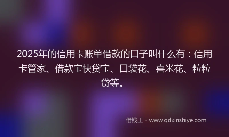 2025年的信用卡账单借款的口子叫什么有：信用卡管家、借款宝快贷宝、口袋花、喜米花、粒粒贷等。