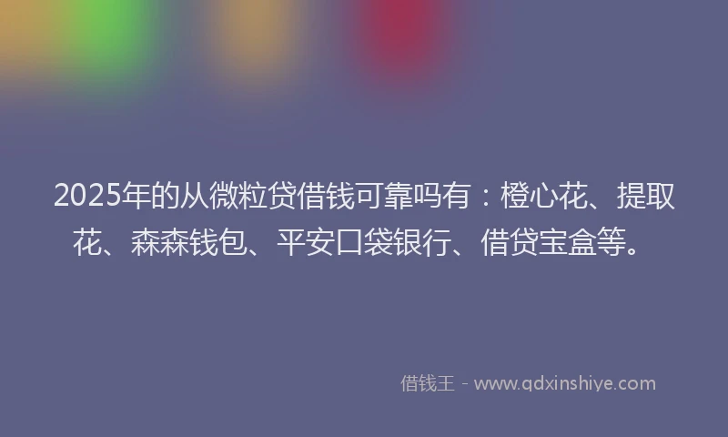 2025年的从微粒贷借钱可靠吗有：橙心花、提取花、森森钱包、平安口袋银行、借贷宝盒等。