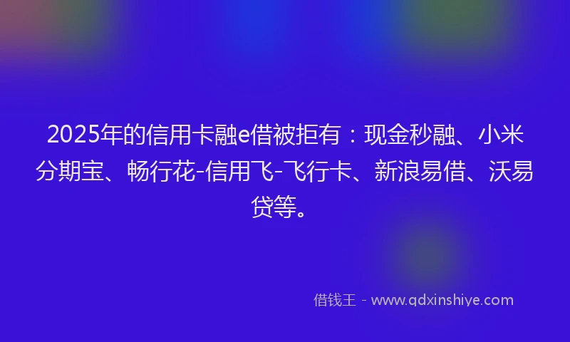 2025年的信用卡融e借被拒有：现金秒融、小米分期宝、畅行花-信用飞-飞行卡、新浪易借、沃易贷等。