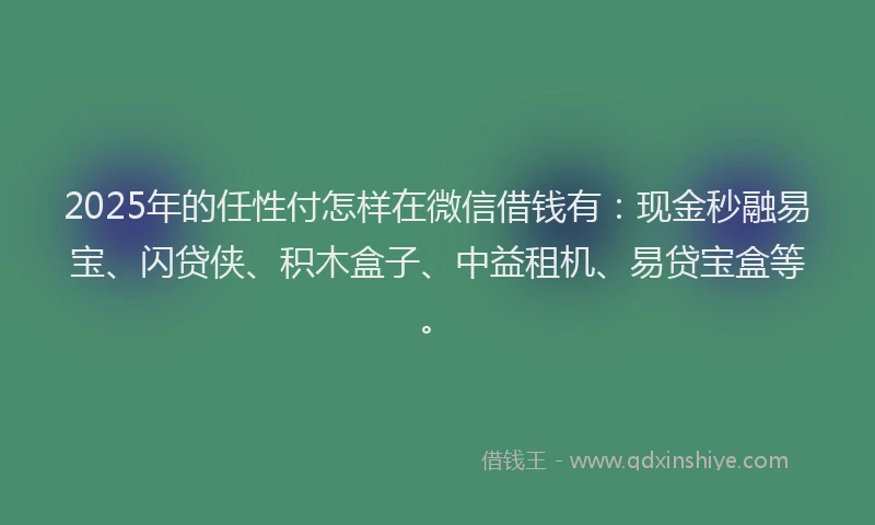 2025年的任性付怎样在微信借钱有：现金秒融易宝、闪贷侠、积木盒子、中益租机、易贷宝盒等。