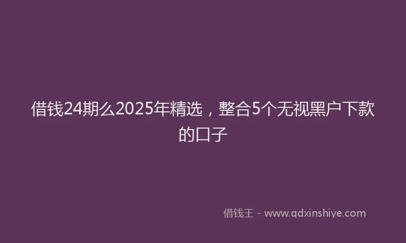 借钱24期么2025年精选，整合5个无视黑户下款的口子