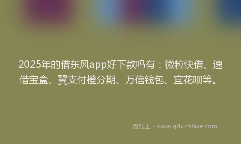 2025年的借东风app好下款吗有：微粒快借、速借宝盒、翼支付橙分期、万信钱包、宜花呗等。
