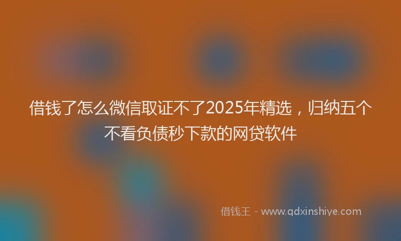 借钱了怎么微信取证不了2025年精选，归纳五个不看负债秒下款的网贷软件