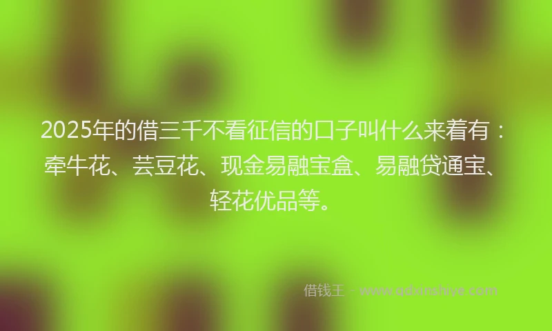 2025年的借三千不看征信的口子叫什么来着有：牵牛花、芸豆花、现金易融宝盒、易融贷通宝、轻花优品等。