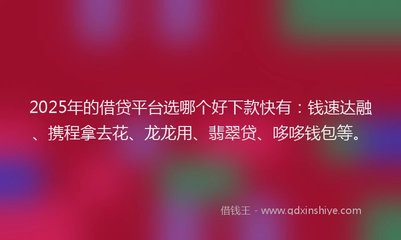 2025年的借贷平台选哪个好下款快有：钱速达融、携程拿去花、龙龙用、翡翠贷、哆哆钱包等。