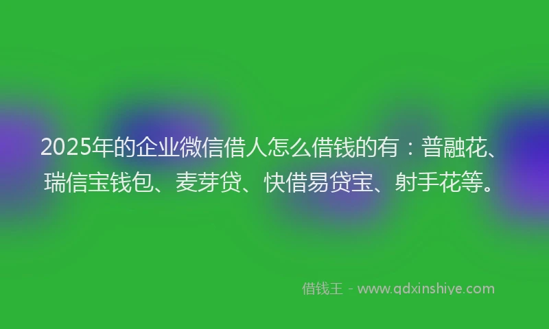 2025年的企业微信借人怎么借钱的有：普融花、瑞信宝钱包、麦芽贷、快借易贷宝、射手花等。