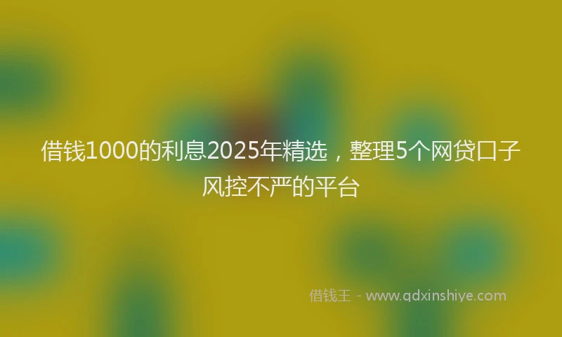 借钱1000的利息2025年精选，整理5个网贷口子风控不严的平台