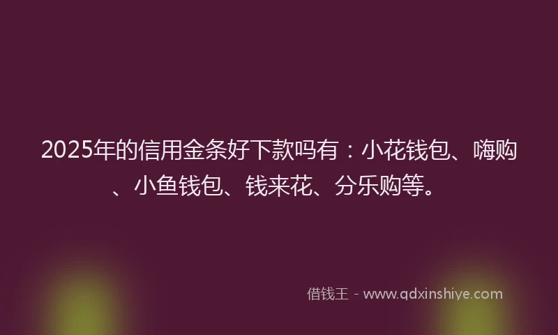 2025年的信用金条好下款吗有：小花钱包、嗨购、小鱼钱包、钱来花、分乐购等。