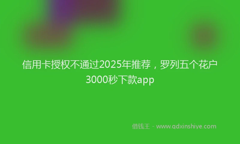 信用卡授权不通过2025年推荐，罗列五个花户3000秒下款app