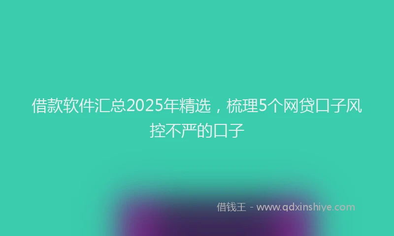 借款软件汇总2025年精选，梳理5个网贷口子风控不严的口子