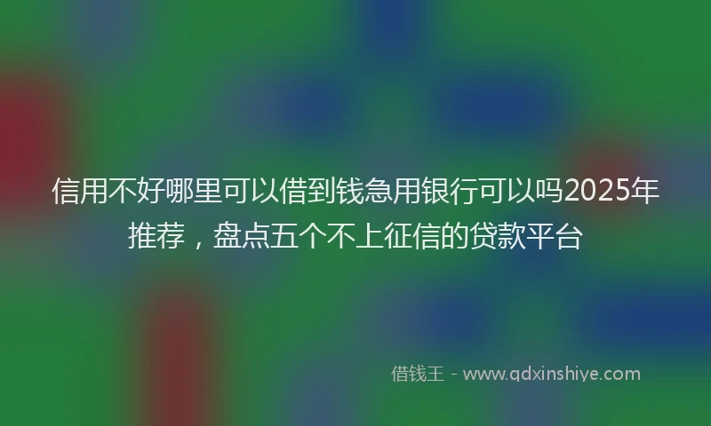 信用不好哪里可以借到钱急用银行可以吗2025年推荐，盘点五个不上征信的贷款平台