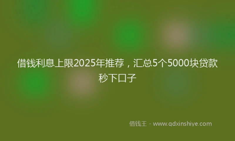 借钱利息上限2025年推荐，汇总5个5000块贷款秒下口子