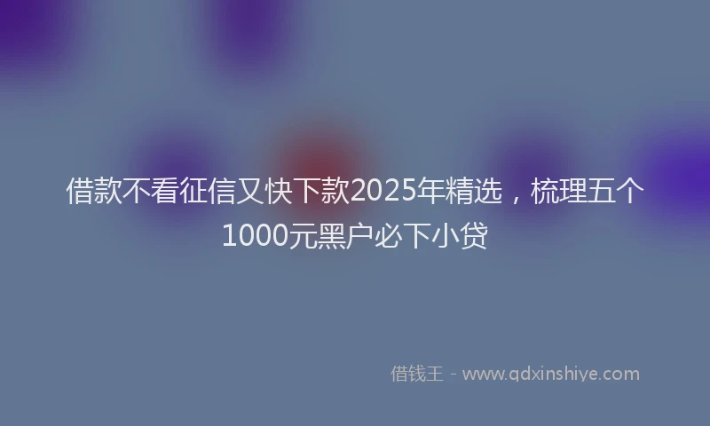 借款不看征信又快下款2025年精选，梳理五个1000元黑户必下小贷