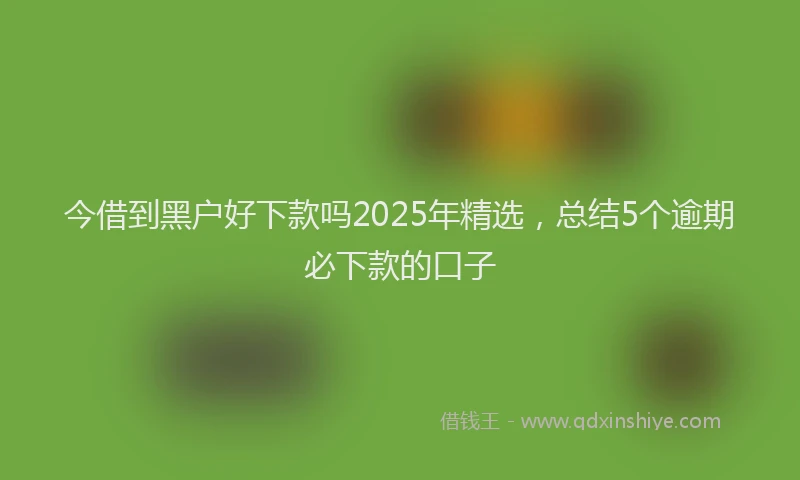 今借到黑户好下款吗2025年精选，总结5个逾期必下款的口子