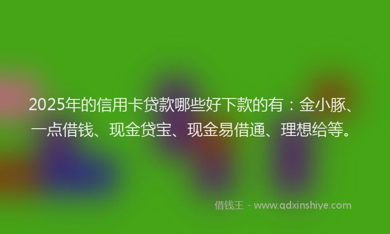 2025年的信用卡贷款哪些好下款的有：金小豚、一点借钱、现金贷宝、现金易借通、理想给等。