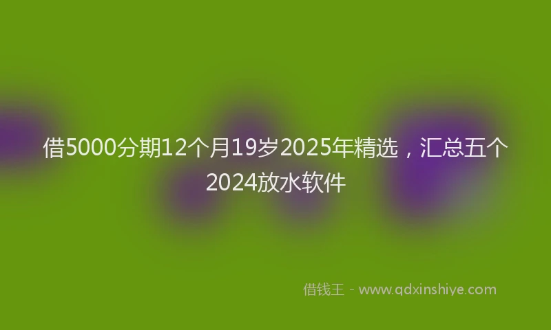 借5000分期12个月19岁2025年精选，汇总五个2024放水软件