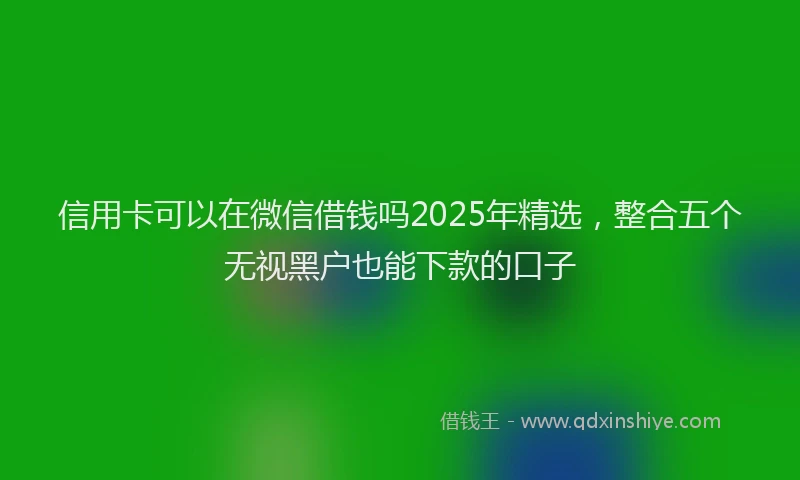 信用卡可以在微信借钱吗2025年精选，整合五个无视黑户也能下款的口子