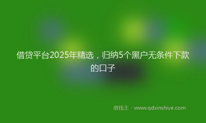 借贷平台2025年精选，归纳5个黑户无条件下款的口子