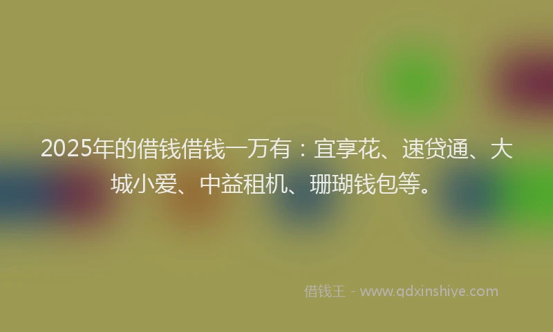 2025年的借钱借钱一万有：宜享花、速贷通、大城小爱、中益租机、珊瑚钱包等。