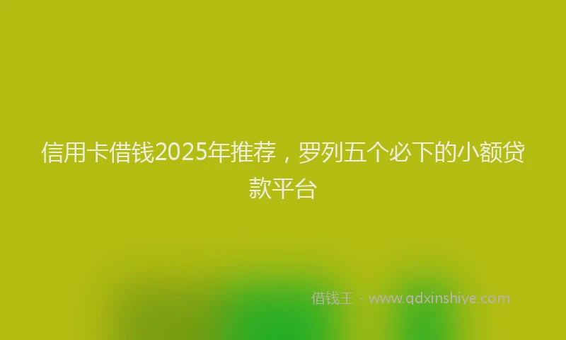信用卡借钱2025年推荐，罗列五个必下的小额贷款平台