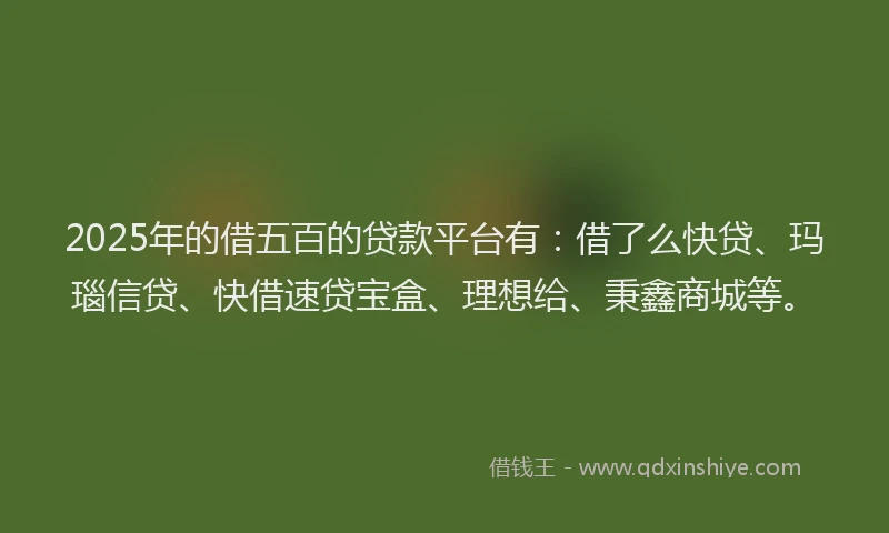 2025年的借五百的贷款平台有：借了么快贷、玛瑙信贷、快借速贷宝盒、理想给、秉鑫商城等。