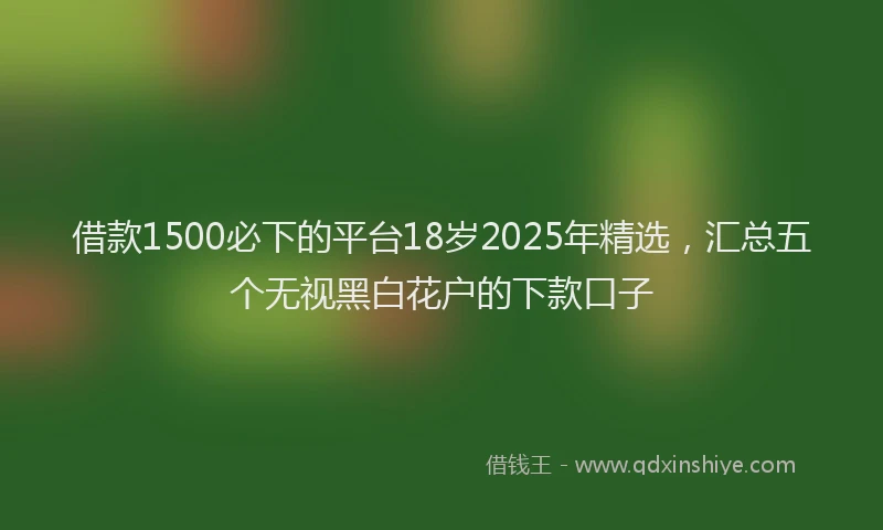 借款1500必下的平台18岁2025年精选，汇总五个无视黑白花户的下款口子