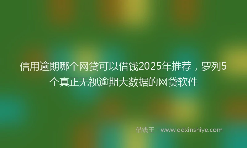 信用逾期哪个网贷可以借钱2025年推荐，罗列5个真正无视逾期大数据的网贷软件