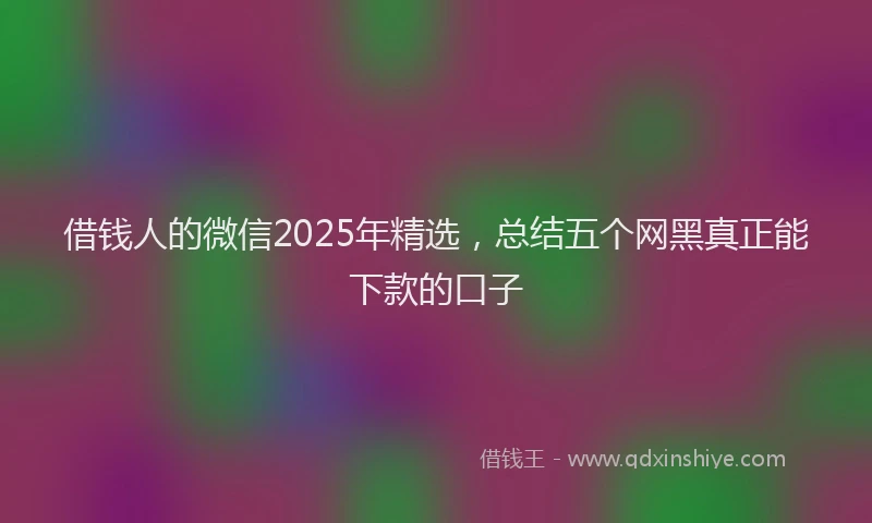 借钱人的微信2025年精选，总结五个网黑真正能下款的口子