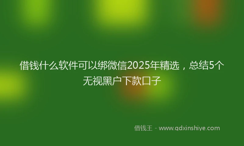 借钱什么软件可以绑微信2025年精选，总结5个无视黑户下款口子