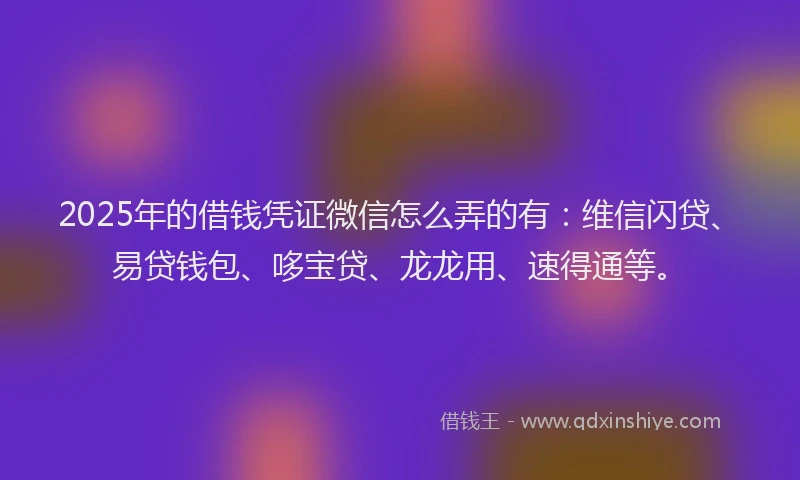 2025年的借钱凭证微信怎么弄的有：维信闪贷、易贷钱包、哆宝贷、龙龙用、速得通等。