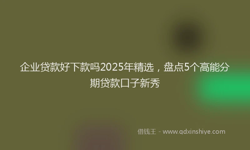 企业贷款好下款吗2025年精选，盘点5个高能分期贷款口子新秀