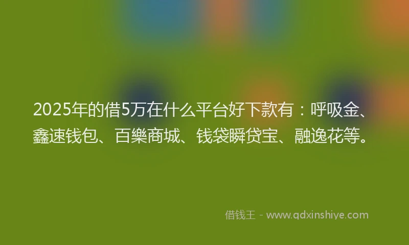 2025年的借5万在什么平台好下款有：呼吸金、鑫速钱包、百樂商城、钱袋瞬贷宝、融逸花等。