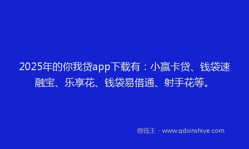 2025年的你我贷app下载有：小赢卡贷、钱袋速融宝、乐享花、钱袋易借通、射手花等。