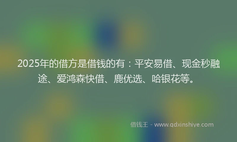 2025年的借方是借钱的有：平安易借、现金秒融途、爱鸿森快借、鹿优选、哈银花等。