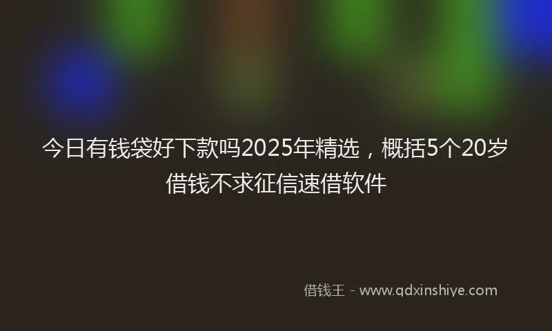 今日有钱袋好下款吗2025年精选，概括5个20岁借钱不求征信速借软件