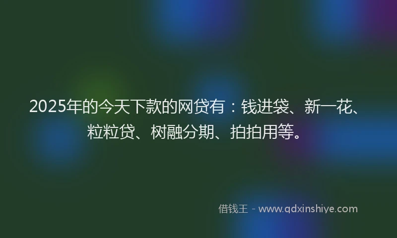 2025年的今天下款的网贷有：钱进袋、新一花、粒粒贷、树融分期、拍拍用等。