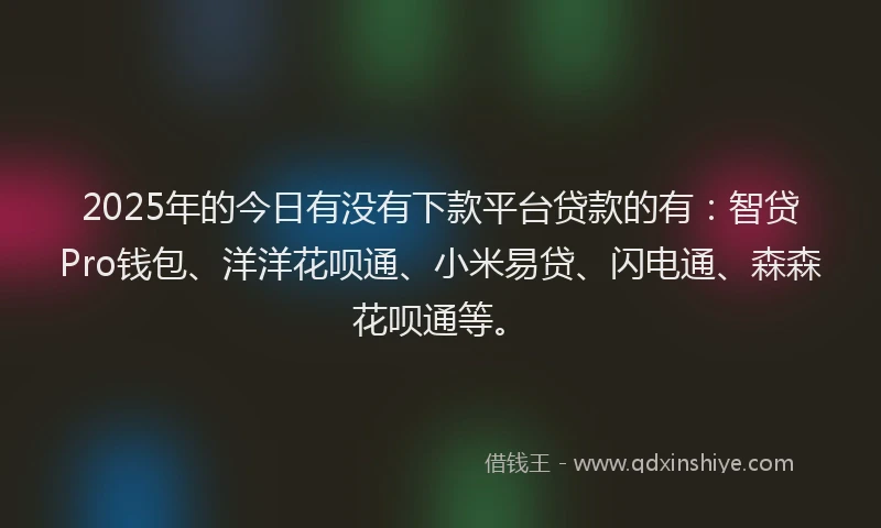 2025年的今日有没有下款平台贷款的有：智贷Pro钱包、洋洋花呗通、小米易贷、闪电通、森森花呗通等。