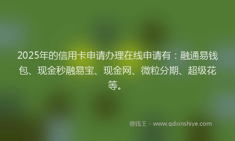 2025年的信用卡申请办理在线申请有：融通易钱包、现金秒融易宝、现金网、微粒分期、超级花等。
