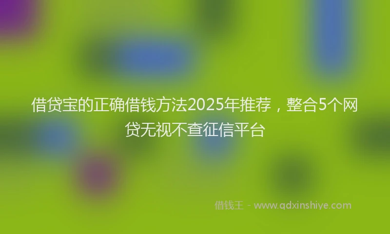 借贷宝的正确借钱方法2025年推荐，整合5个网贷无视不查征信平台