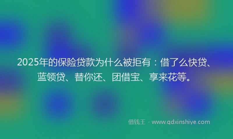 2025年的保险贷款为什么被拒有：借了么快贷、蓝领贷、替你还、团借宝、享来花等。