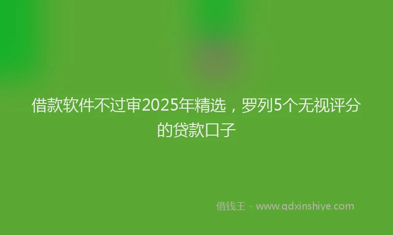 借款软件不过审2025年精选，罗列5个无视评分的贷款口子