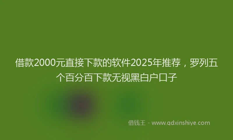 借款2000元直接下款的软件2025年推荐，罗列五个百分百下款无视黑白户口子