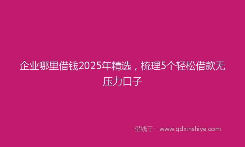 企业哪里借钱2025年精选，梳理5个轻松借款无压力口子