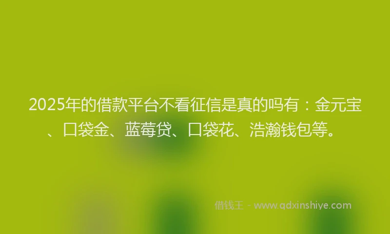 2025年的借款平台不看征信是真的吗有：金元宝、口袋金、蓝莓贷、口袋花、浩瀚钱包等。