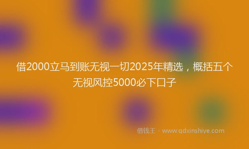 借2000立马到账无视一切2025年精选，概括五个无视风控5000必下口子