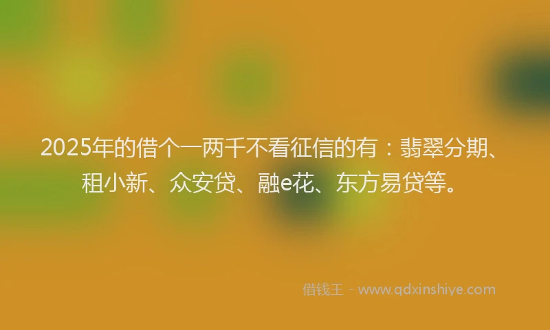 2025年的借个一两千不看征信的有：翡翠分期、租小新、众安贷、融e花、东方易贷等。