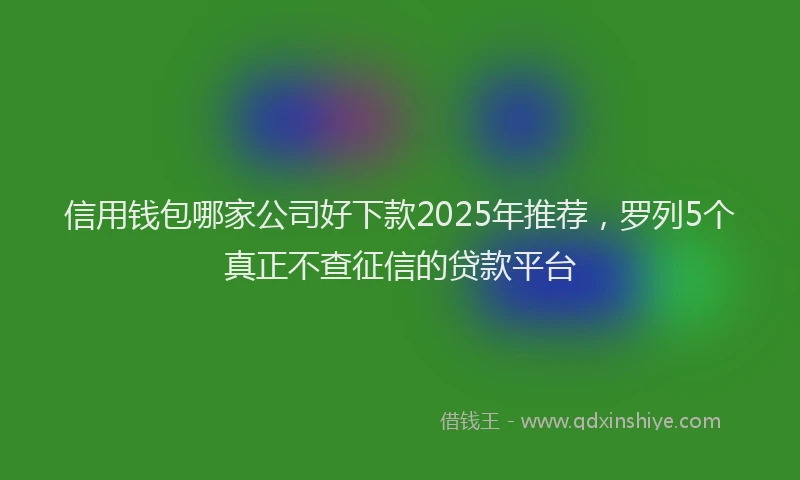 信用钱包哪家公司好下款2025年推荐，罗列5个真正不查征信的贷款平台