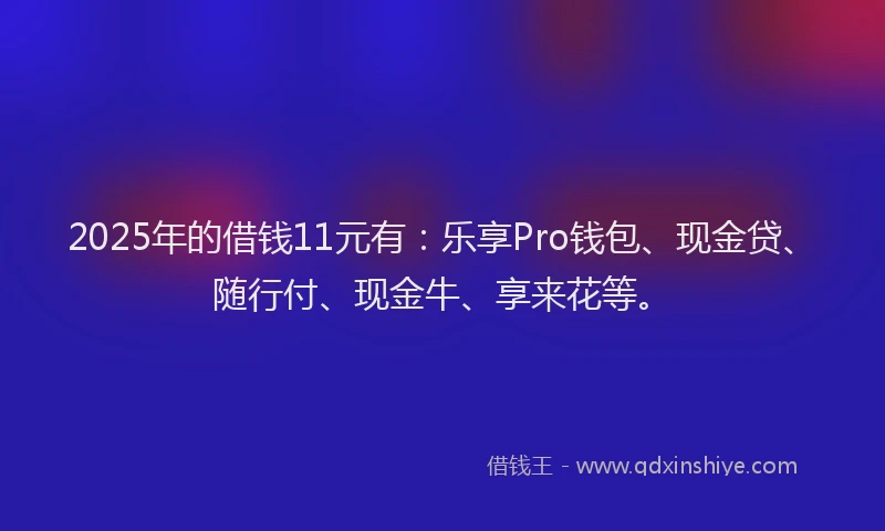 2025年的借钱11元有：乐享Pro钱包、现金贷、随行付、现金牛、享来花等。