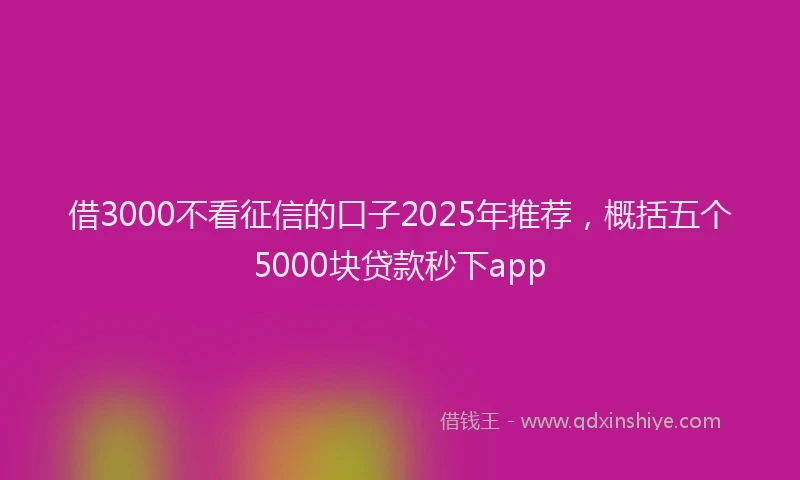借3000不看征信的口子2025年推荐，概括五个5000块贷款秒下app